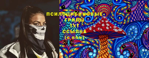 мет Осинники