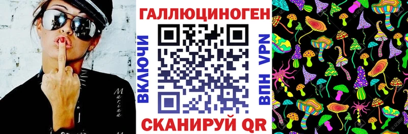 где можно купить наркотик  Динская  ОМГ ОМГ tor  Псилоцибиновые грибы мицелий 
