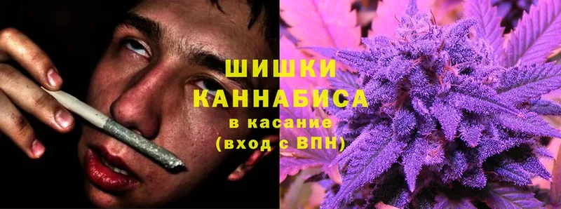 закладки  Динская  Конопля Bruce Banner 